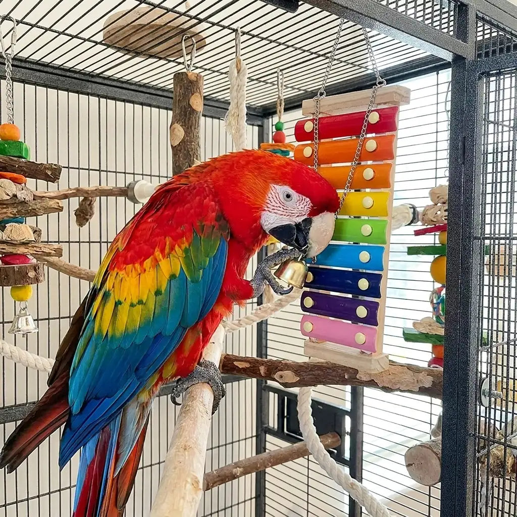 JML Pets Bird Xylophone Toy – Colourful Hanging Bird Toy